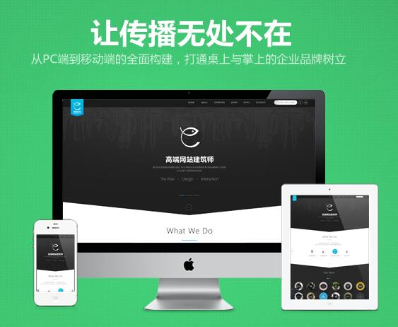 衡水专业做网站建设的网络公司|推荐网加思维