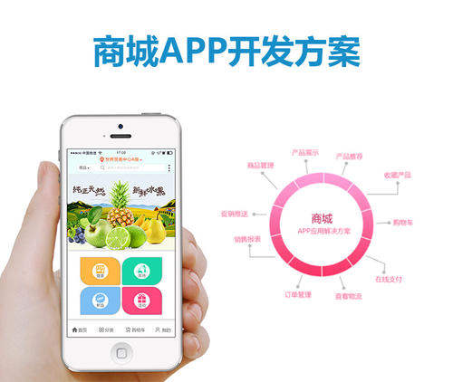 聊城商城app开发制作认准网加思维公司