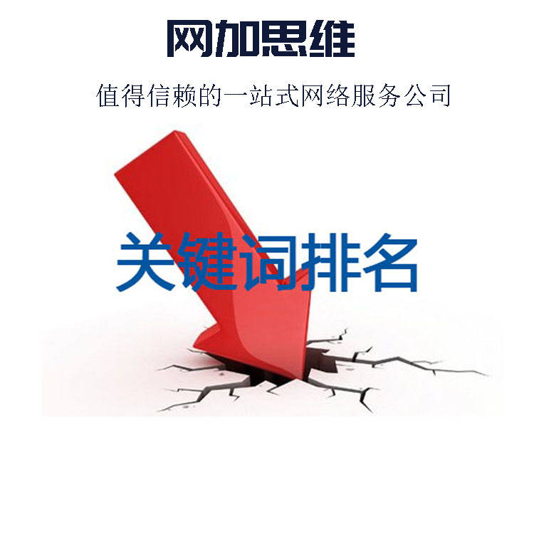 枣强网站排名优化-河北网加思维公司报价