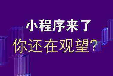 聊城小程序设计开发-小程序网站制作报价