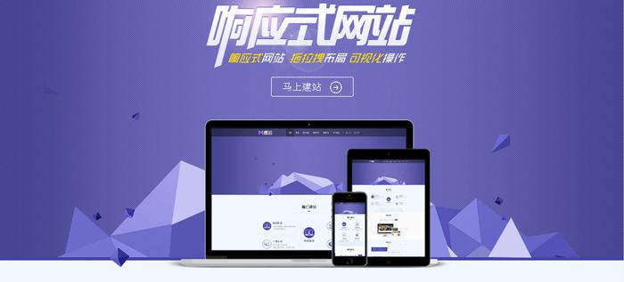 莘县网站建设-阳谷响应式网站制作选对网络公司